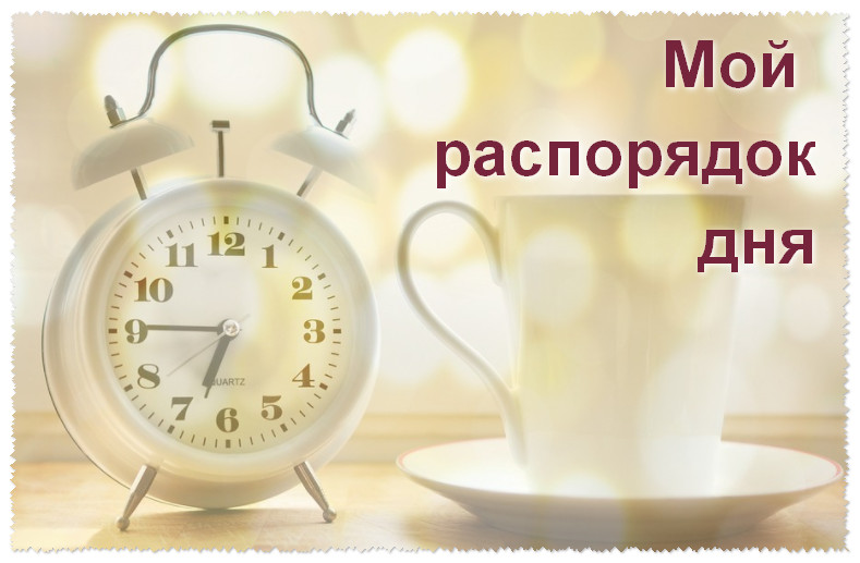 Мой распорядок дня