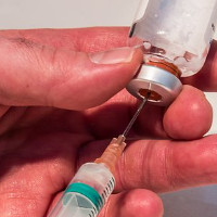 das Antibiotikum