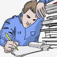 die Fachschule