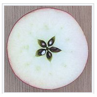 die Frucht