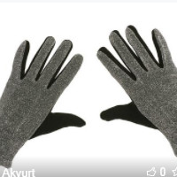 der Handschuh