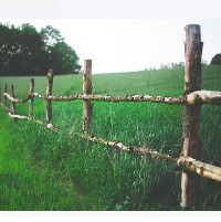 die Hecke