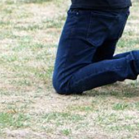 das Knie