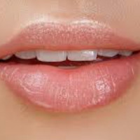 die Lippe