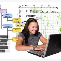 der Programmierer