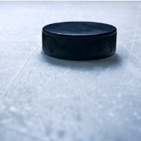 der Puck