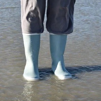 die Regenstiefel