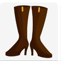 der Schaftstiefel
