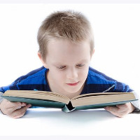 die Schulung
