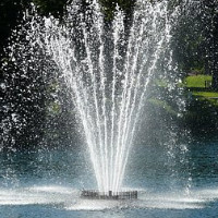 der Springbrunnen