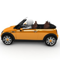das Cabriolet