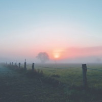 das Morgengrauen