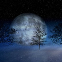 die Nacht