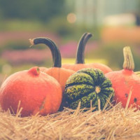 der Oktober