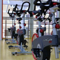 das Fitness-Studio