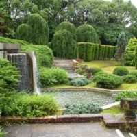 der Garten