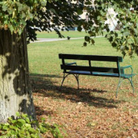 die Grünanlage