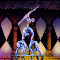 der Zirkus