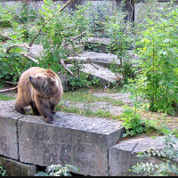der Zoo