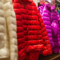 die Daunenjacke