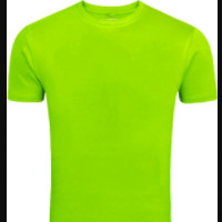 das T-Shirt
