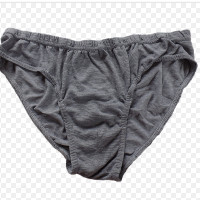 die Unterhose