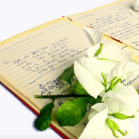 das Gedicht