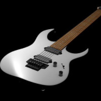 die Gitarre