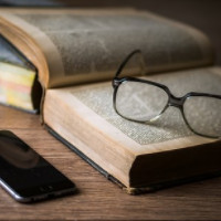 die Literatur