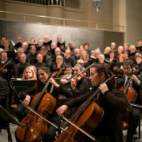 das Orchester