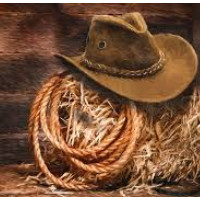 der Wildwestfilm