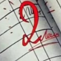 die Note