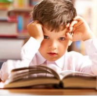 der Schüler