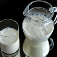 die Milch