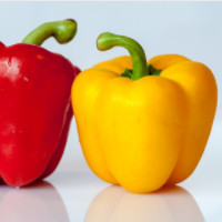 der Paprika