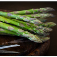 der Spargel