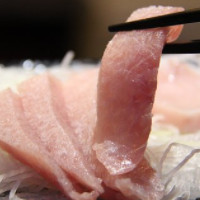 der Thunfisch