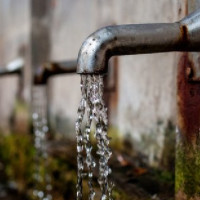 das Wasser