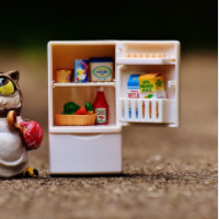 der Kühlschrank