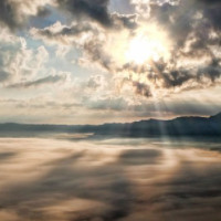 das Licht