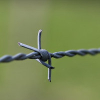 der Draht