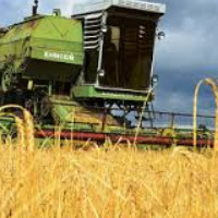 die Landwirtschaft