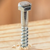 die Schraube