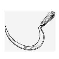 die Sichel