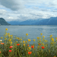der See