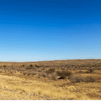 die Steppe