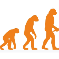 die Entwicklung