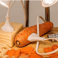 das Experiment