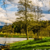 die Natur
