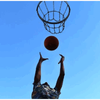der Basketball